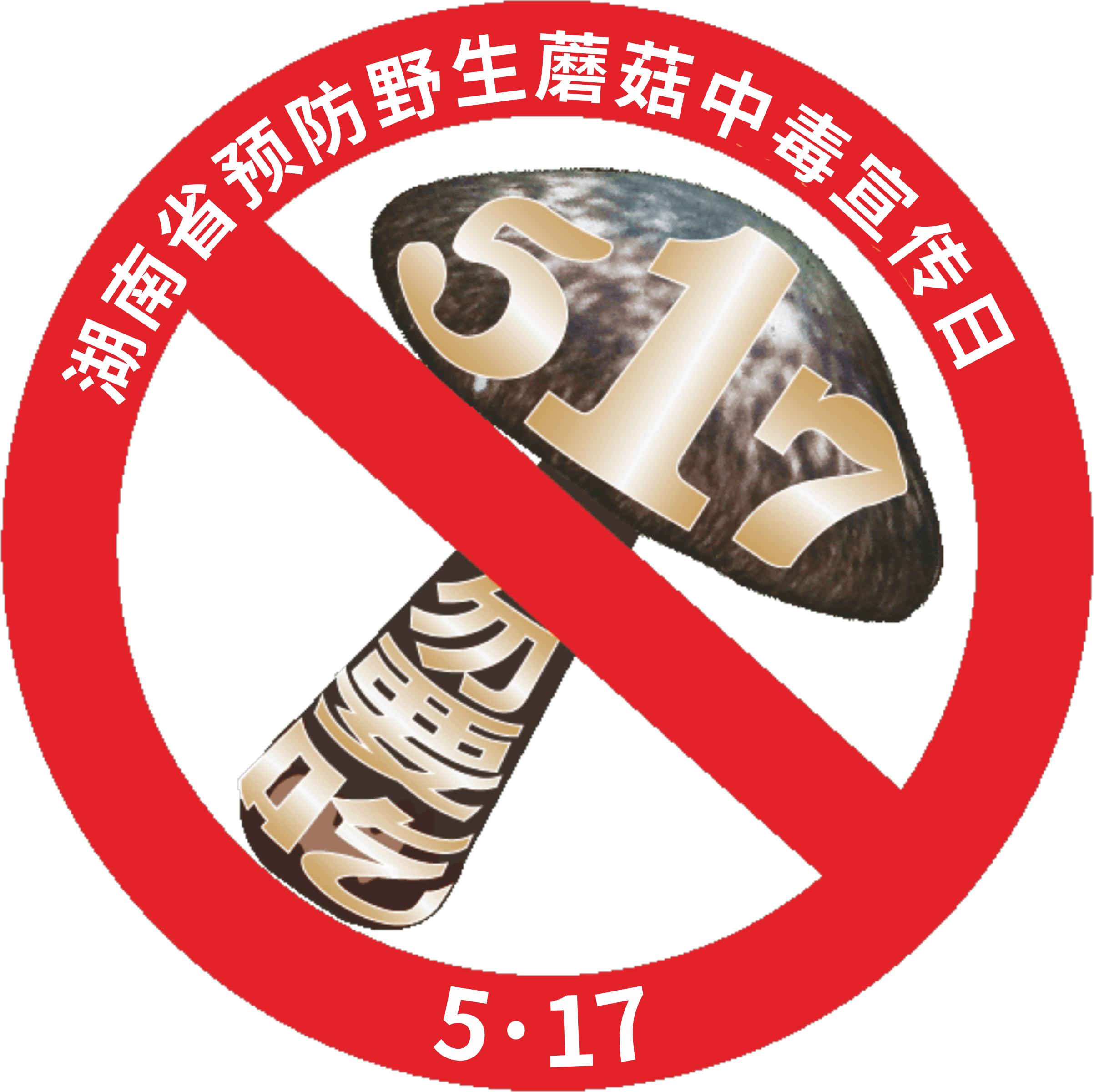 有毒蘑菇防控