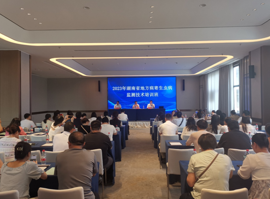 QQ截图20230704110321.png