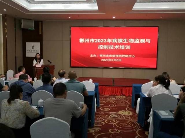 1695026288240.png 1.png