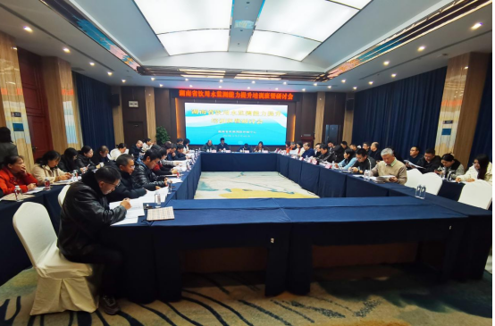 QQ截图20231229101126.png