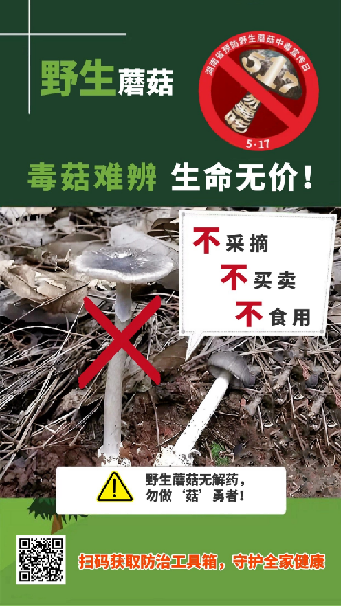 微信图片_20250519090140.png