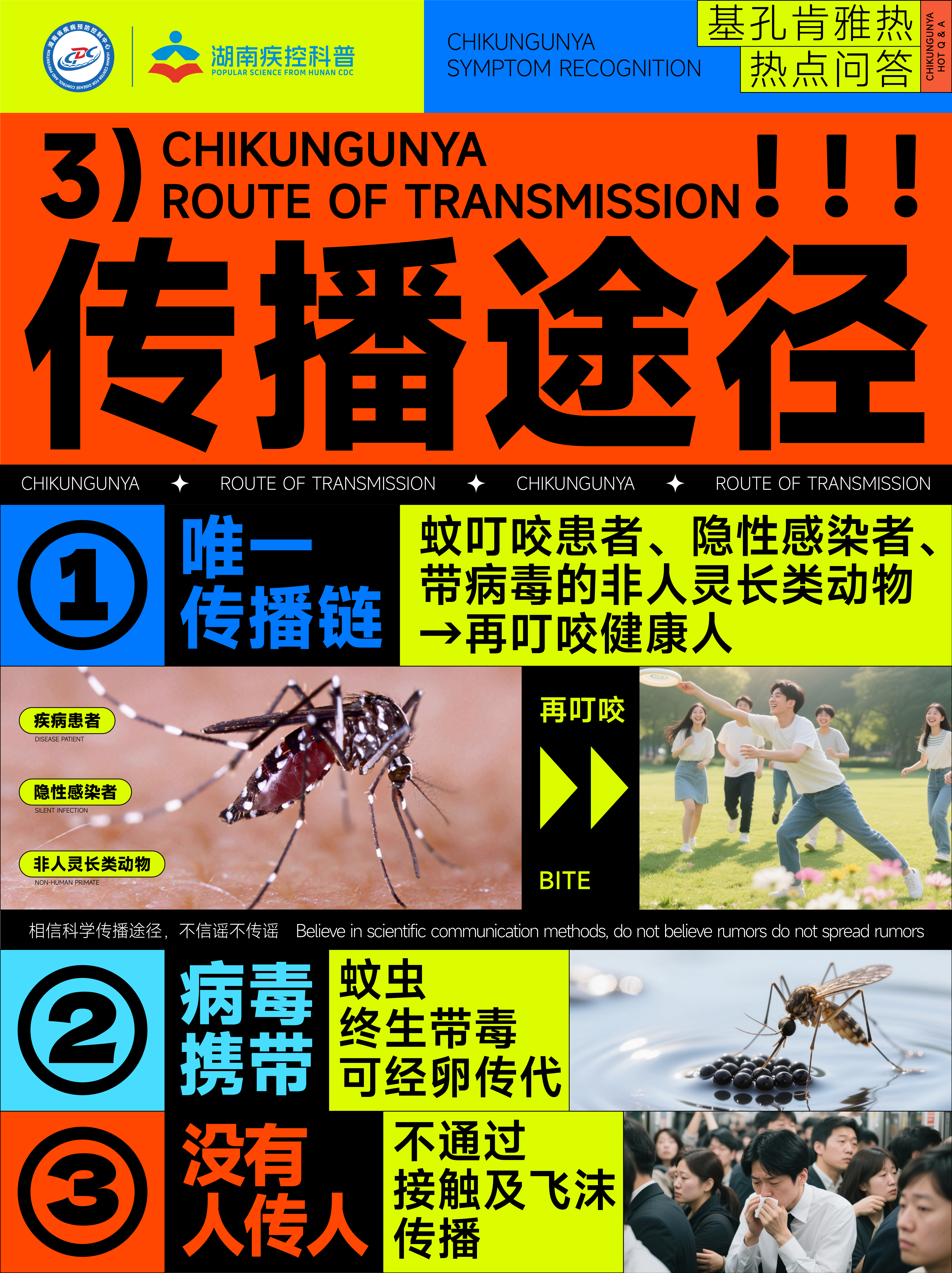 登、基--图3.jpg